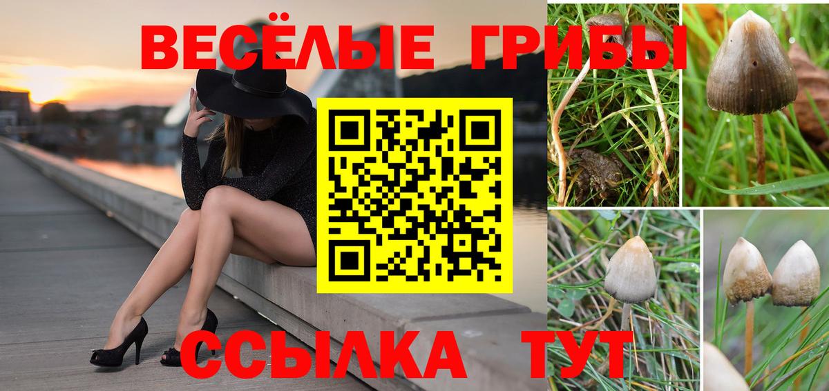 Псилоцибиновые грибы ЛСД Белогорск